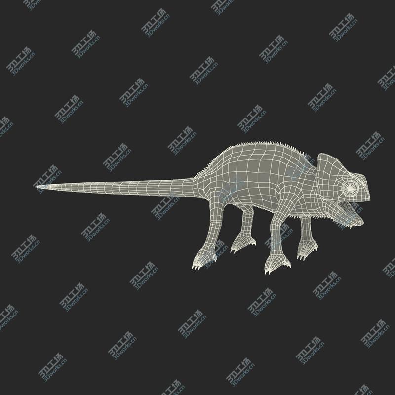 images/goods_img/2021040162/Chameleon Rigged for Maya/4.jpg